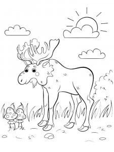 Moose coloring page - picture 25