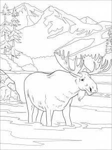 Moose coloring page - picture 26