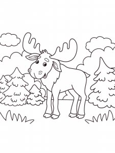 Moose coloring page - picture 27
