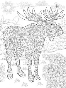 Moose coloring page - picture 28