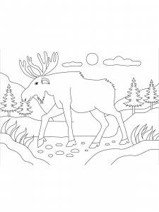 Moose coloring page - picture 29