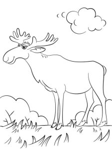 Moose coloring page - picture 8