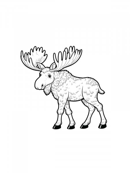 Moose coloring pages