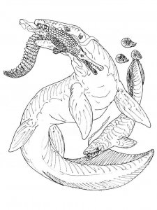 Mosasaurus coloring page - picture 10