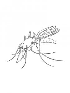 Mosquito coloring page - picture 11