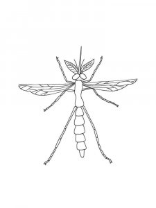 Mosquito coloring page - picture 17