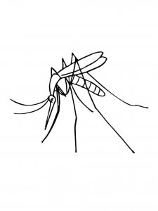 Mosquito coloring page - picture 21