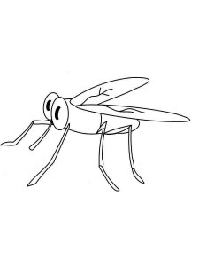 Mosquito coloring page - picture 22