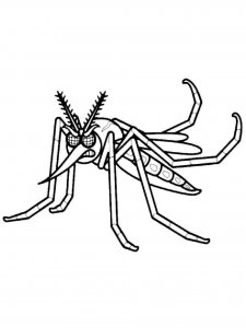 Mosquito coloring page - picture 28