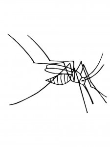 Mosquito coloring page - picture 29