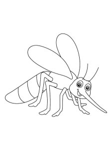 Mosquito coloring page - picture 3