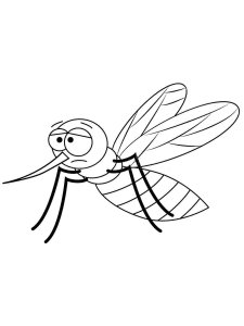 Mosquito coloring page - picture 34