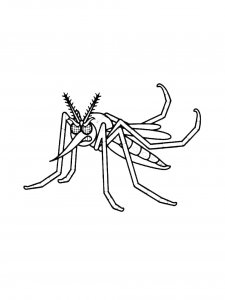 Mosquito Coloring Pages 36