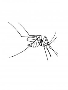 Mosquito Coloring Pages 37