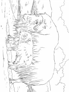 Musk Ox coloring page - picture 6