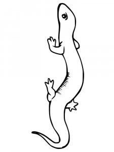 Newt coloring page - picture 12