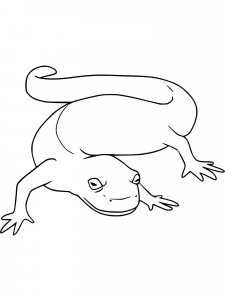 Newt coloring page - picture 13