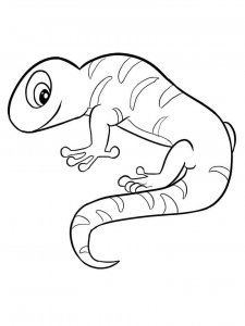 Newt coloring page - picture 5