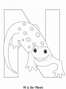 Newt coloring page - picture 8