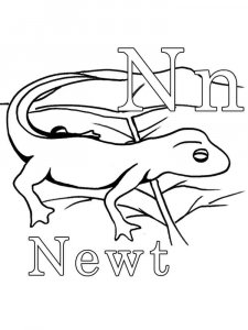 Newt coloring page - picture 9
