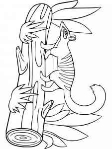 Numbat coloring page - picture 11