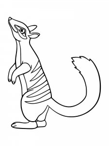 Numbat coloring page - picture 12