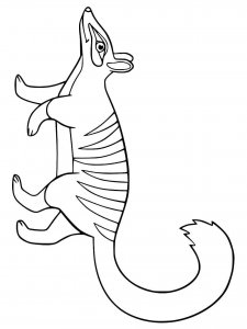 Numbat coloring page - picture 13