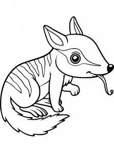 Numbat coloring page - picture 2