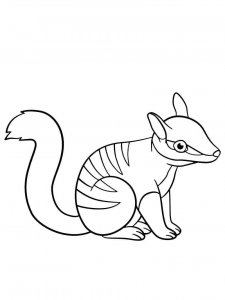 Numbat coloring page - picture 4