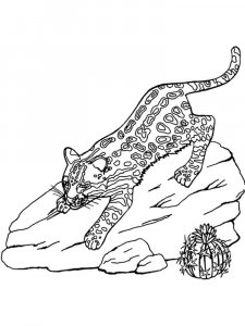 Ocelot coloring page - picture 1