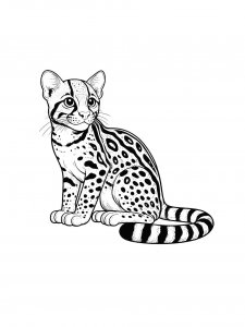 Ocelot Coloring Pages 15