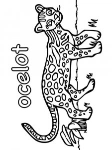 Ocelot coloring page - picture 3