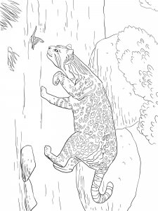 Ocelot coloring page - picture 4