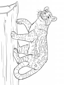 Ocelot coloring page - picture 5