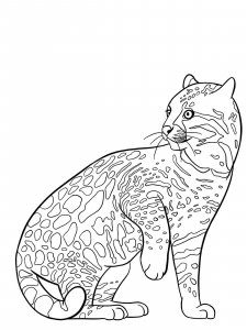 Ocelot coloring page - picture 6