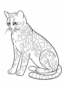 Ocelot coloring page - picture 7