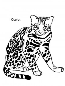 Ocelot coloring page - picture 9