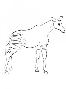 Okapi coloring page - picture 10
