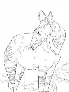 Okapi coloring page - picture 14