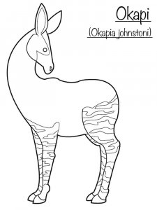 Okapi coloring page - picture 15