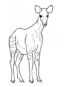 Okapi coloring page - picture 2