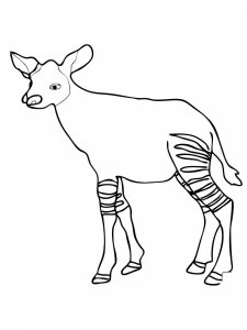 Okapi coloring page - picture 3