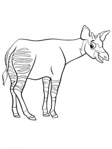 Okapi coloring page - picture 6