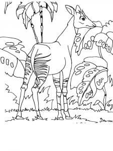 Okapi coloring page - picture 9