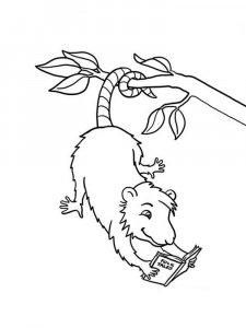 Opossum coloring page - picture 13