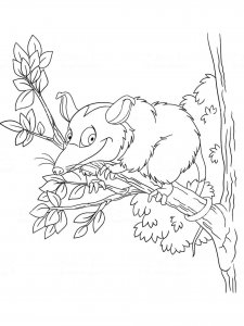 Opossum coloring page - picture 5