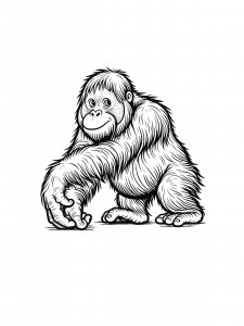 Orangutan Coloring Pages 16
