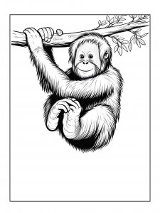 Orangutan Coloring Pages 28
