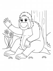 Orangutan coloring page - picture 4