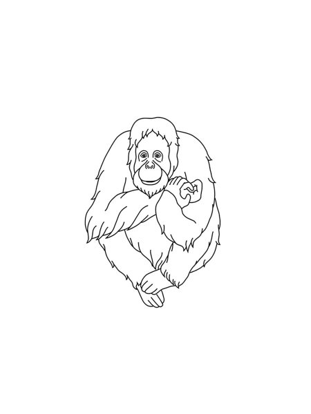 Orangutan coloring pages